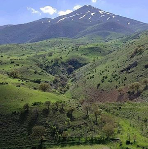 تصویر وکیل در بروجرد در حال بررسی پرونده و ارائه مشاوره حقوقی