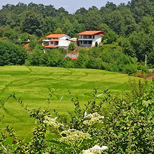 تصویر مرتبط با وکیل در آستارا برای مشاوره حقوقی و پیگیری پرونده‌های مختلف