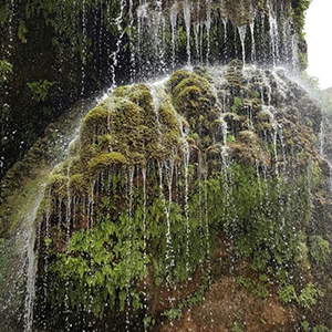 جلسه مشاوره حقوقی با وکیل در جلفا