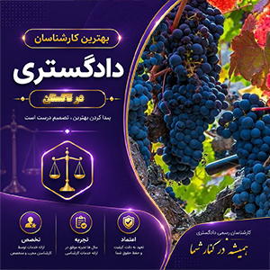 کارشناس در تاکستان برای مشاوره تخصصی، ارزیابی و بررسی پرونده‌های مختلف