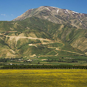 وکیل در پیرانشهر در دفتر وکالت در حال بررسی پرونده و ارائه مشاوره تخصصی